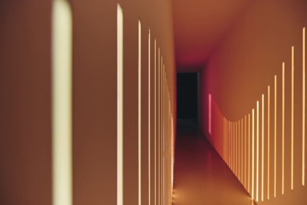 Ploom x MDW 2026_interior 53
